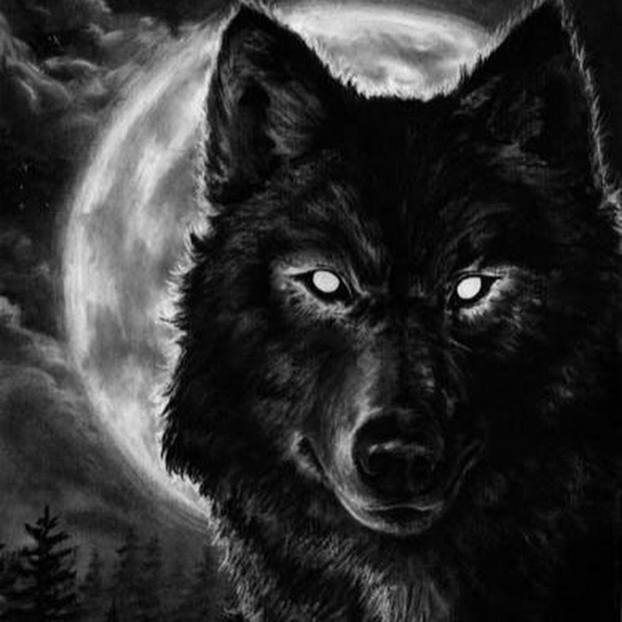 Злой волк - красивые фото