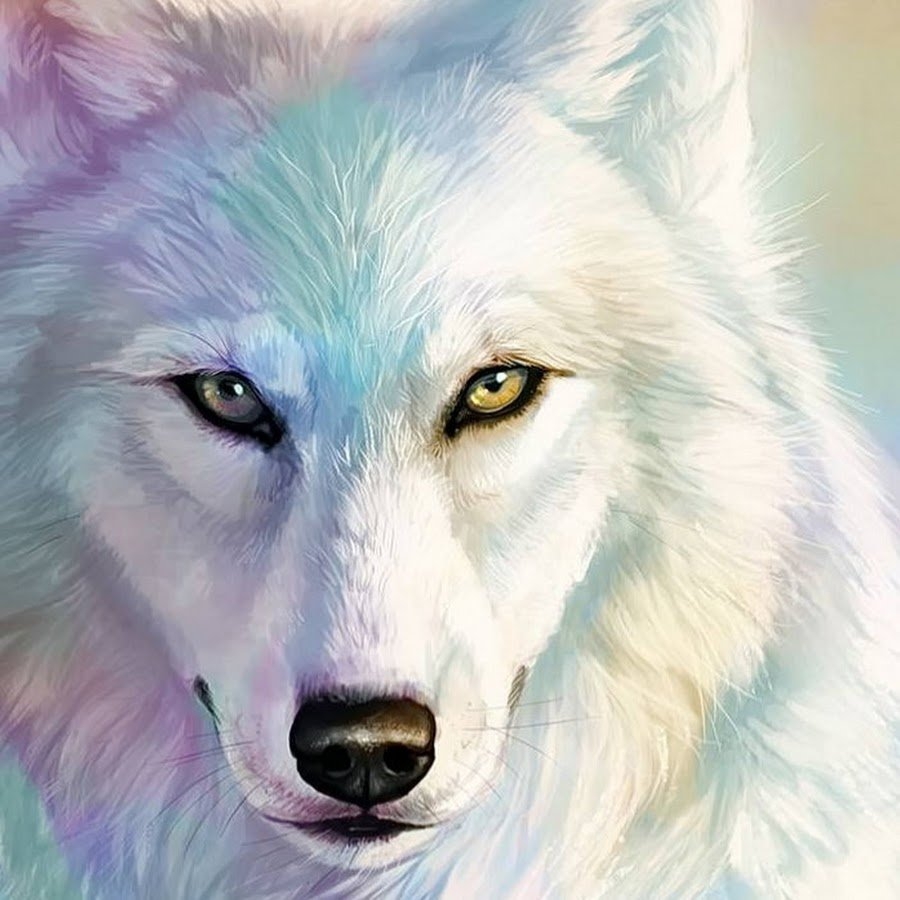 Волки, аватары и картинки с волками, скачать аватарки с хищными животными