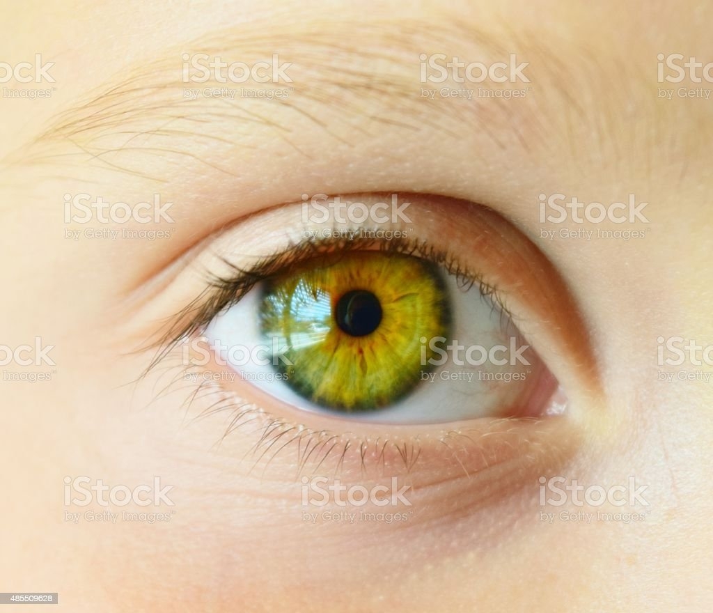 Зеленые глаза на прозрачном фоне на ногтях (68 фото)