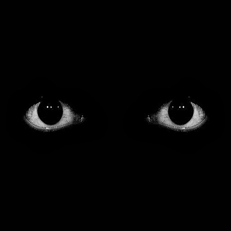 Черно-белый рисунок человеческого глаза со словом 