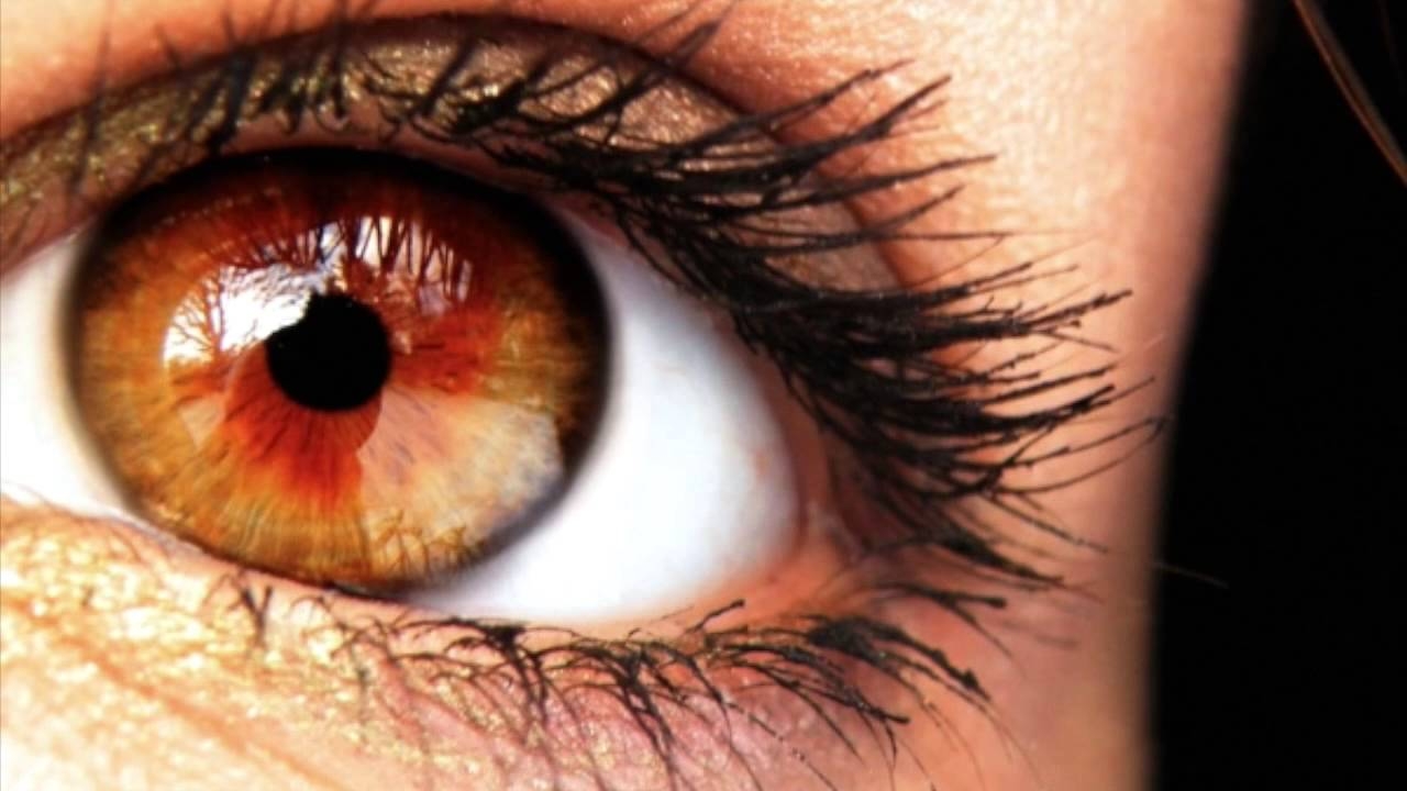 Карие или карии. Центральная гетерохромия карих глаз. Глаза цвета янтаря. Темный янтарь глаза. Темный янтарь цвет глаз.