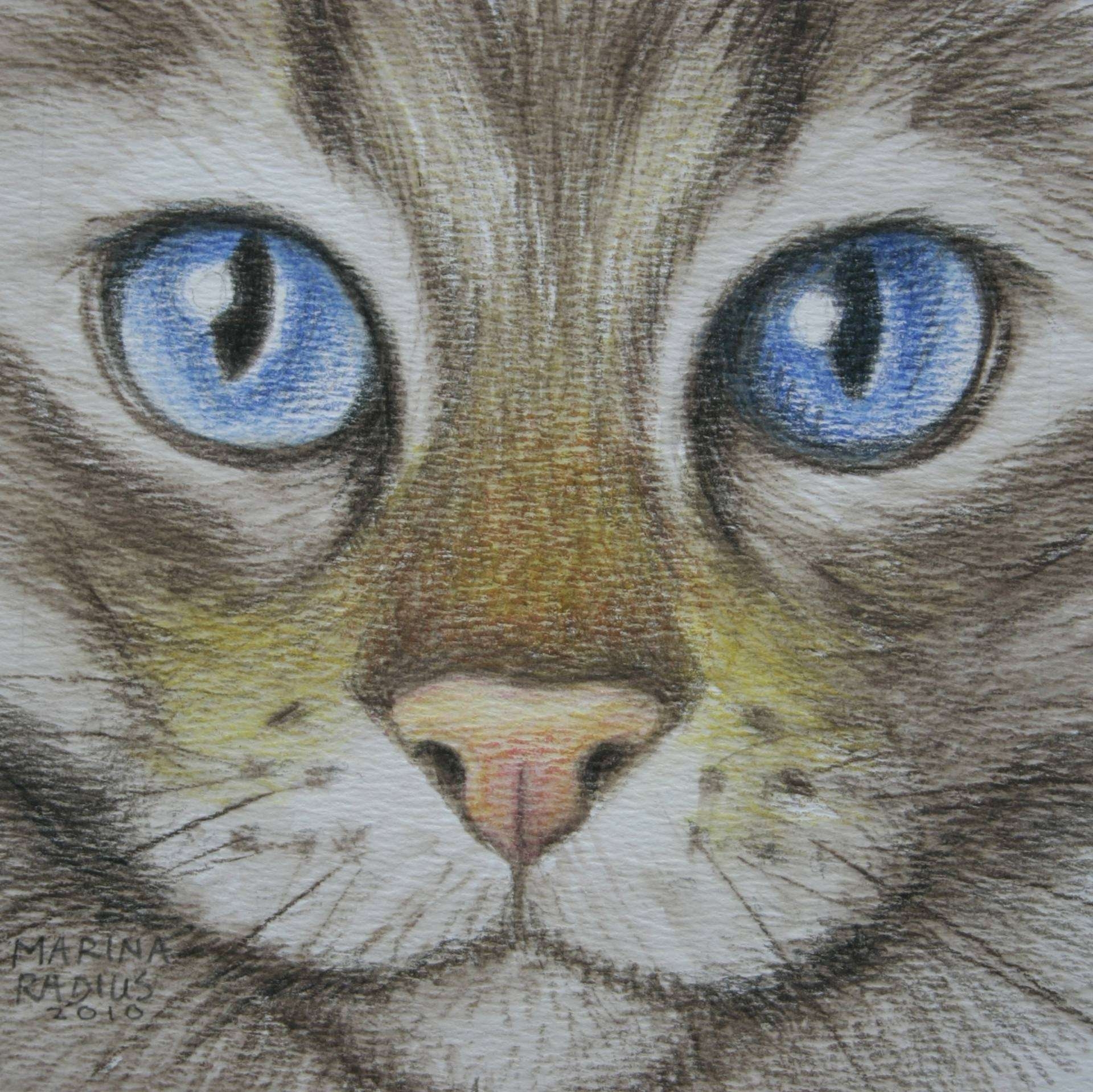 Схема для вышивания Кошачьи глазки | Кот и кошка