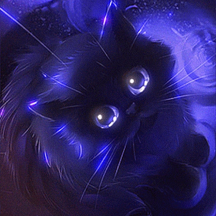 Черная кошка с фиолетовыми глазами - 76 фото