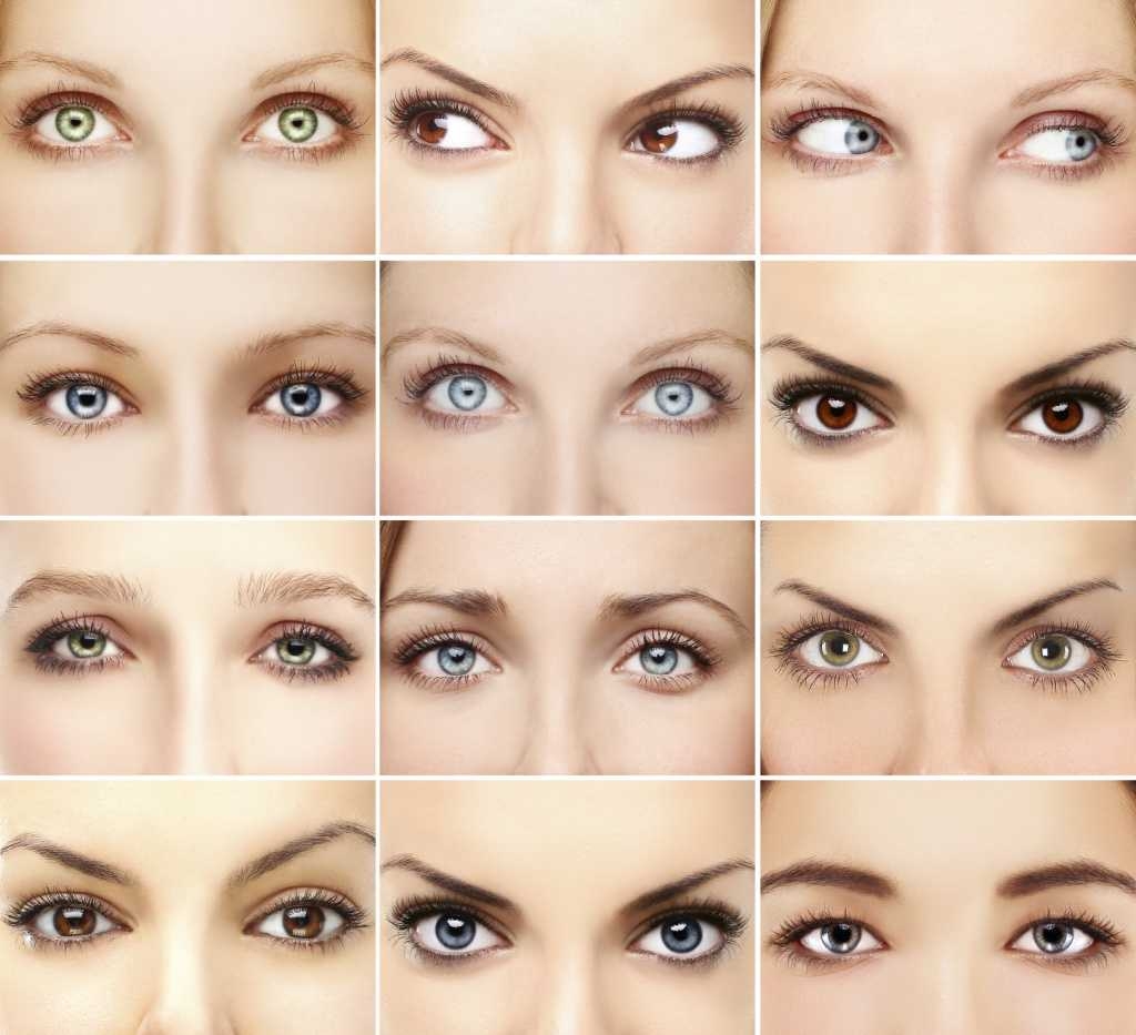 Показать видео какие бывают. Формы глаз. Разные формы глаз. Формы женских глаз. Формы глаз человека.