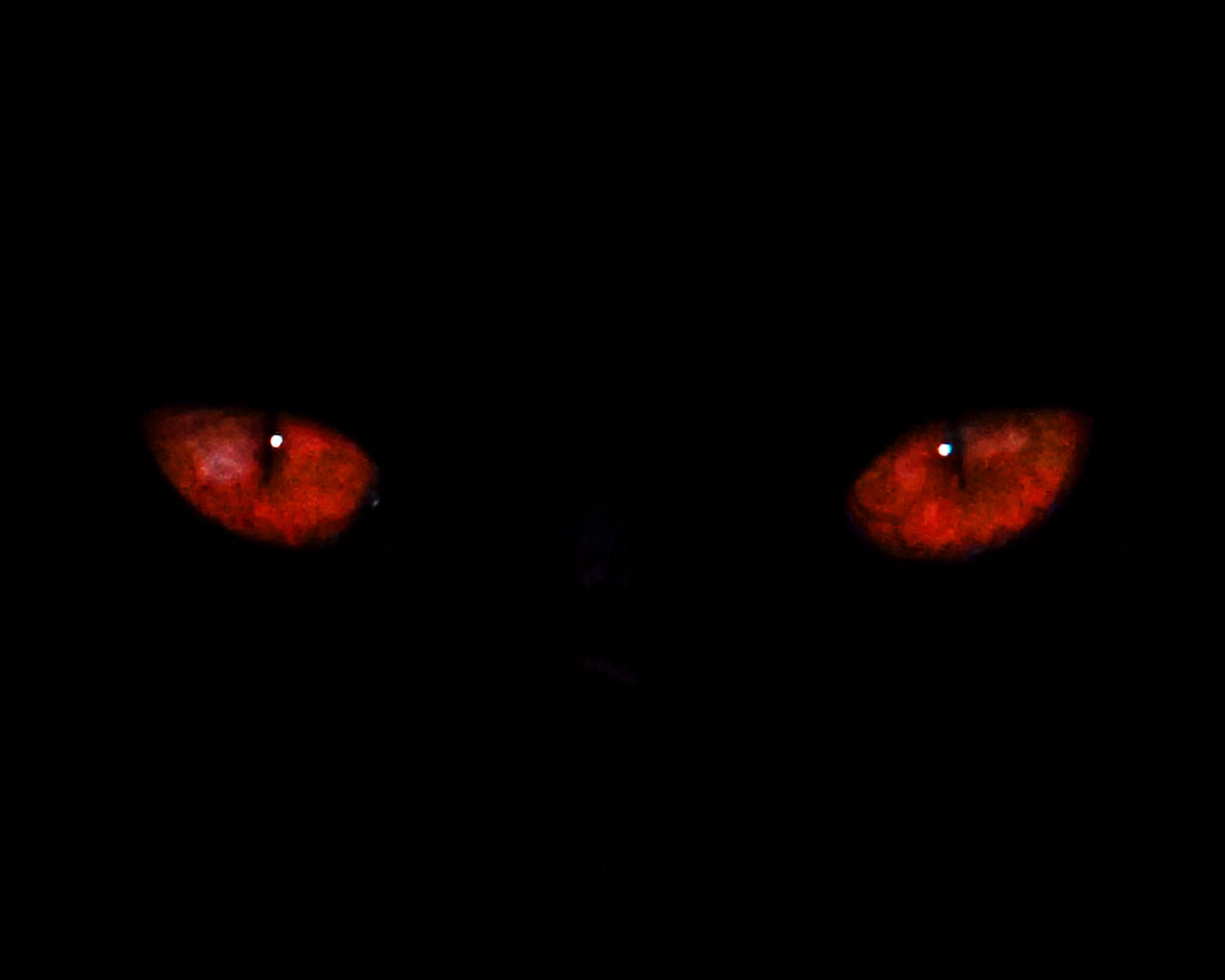 Красные глаза в темноте. Красные демонические глаза. Глаза в темноте. Блестят красные глазки