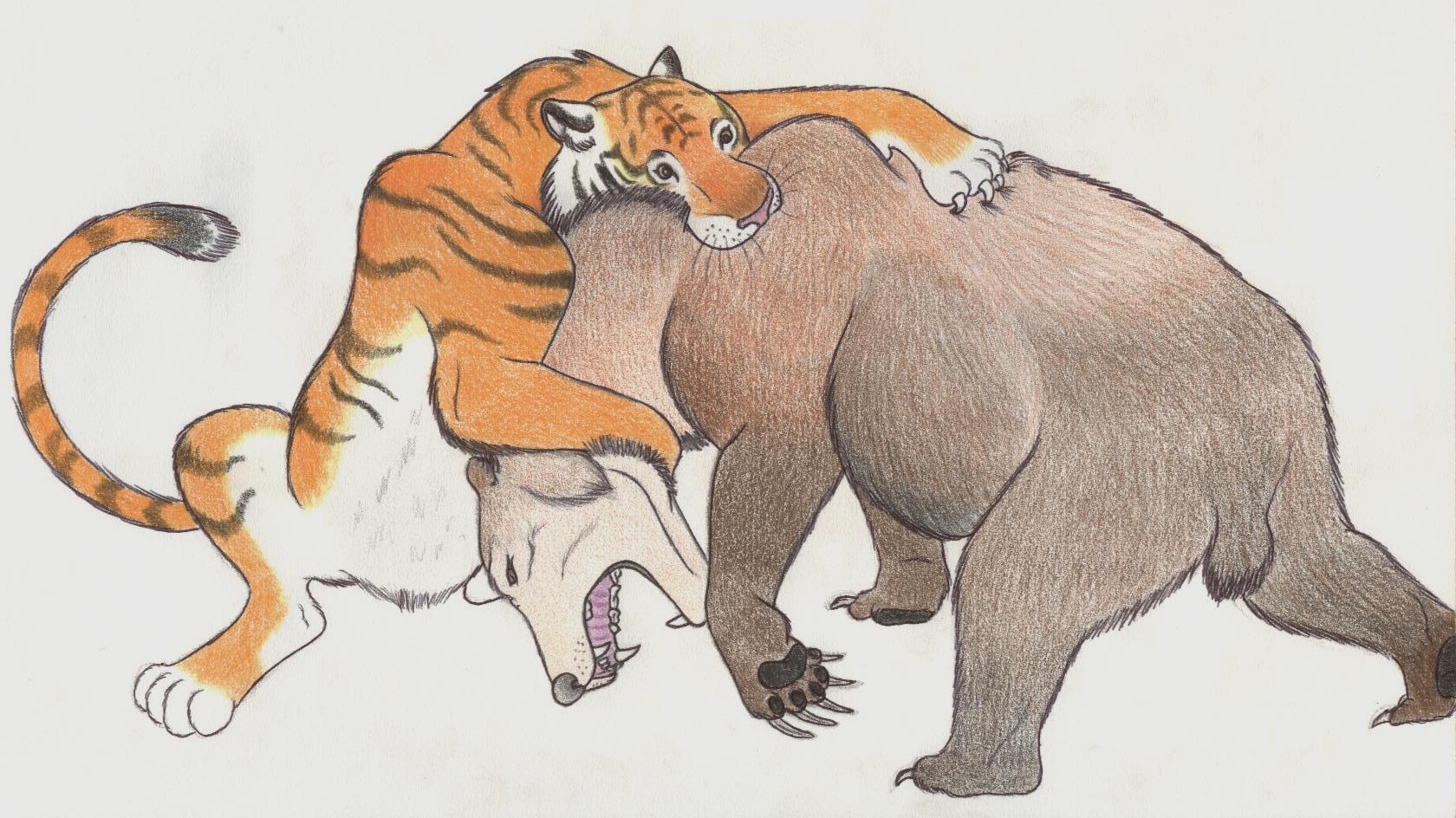 Лев против медведя. Туранский тигр против берберийского Льва. Белый медведь против тигра.