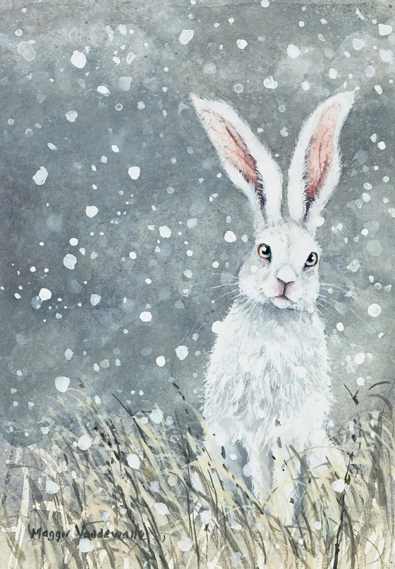 Портрет зайчика. Мэгги Вандевалле зайцы. Maggie Vandewalle акварель зайцы. Заяц зима. Зайчик зимой живопись.