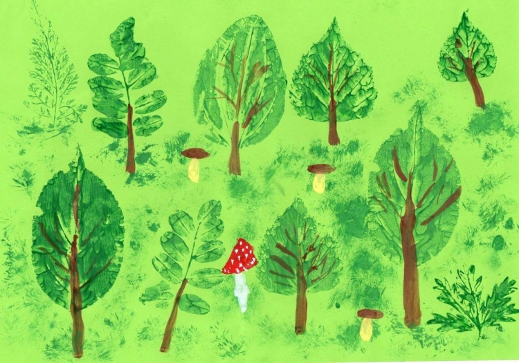 Растения и деревья леса
