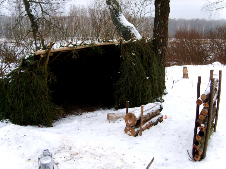 Дом-шалаш у леса