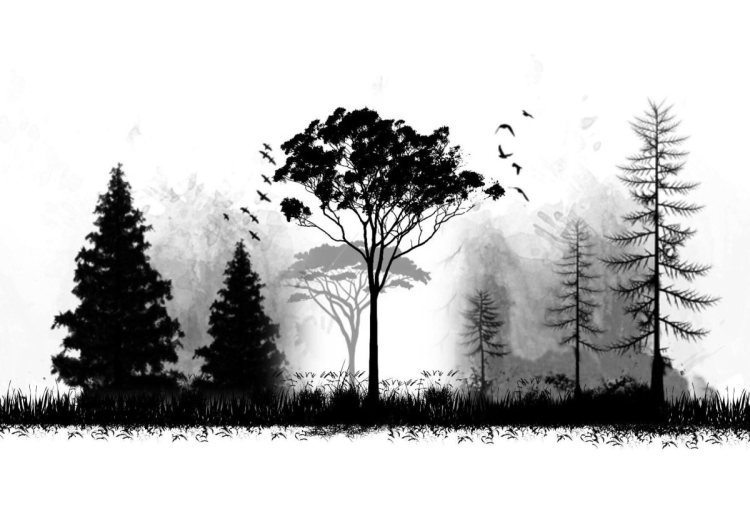 Темный лес минимализм