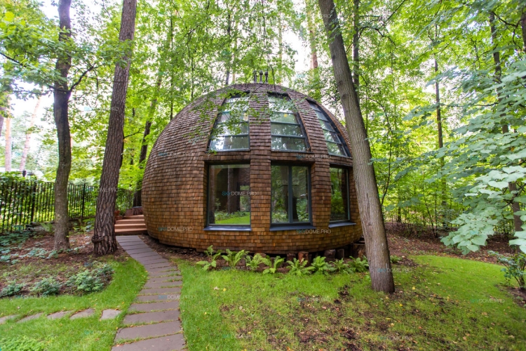 Дом купол в лесу