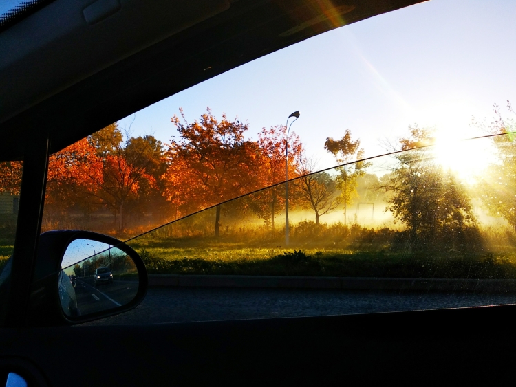 Осень из окна автомобиля