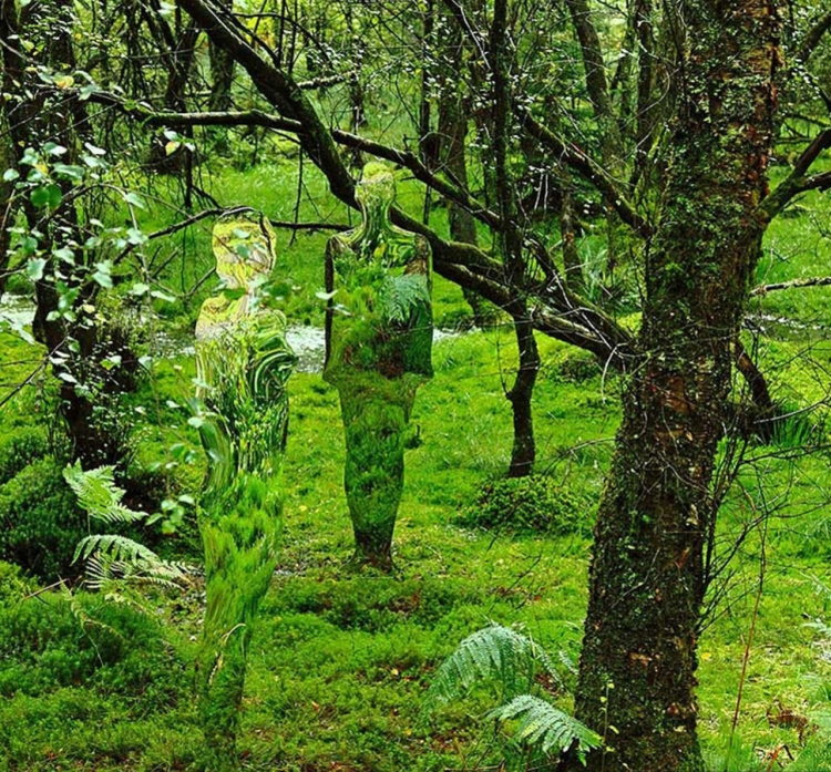 Стеклянные скульптуры призраки в лесах шотландии