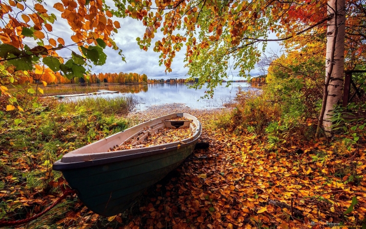 Осень в лодке