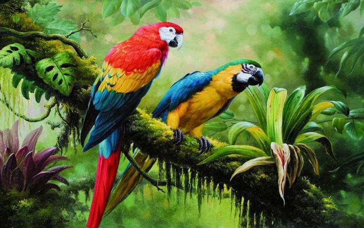 Попугай в тропических лесах