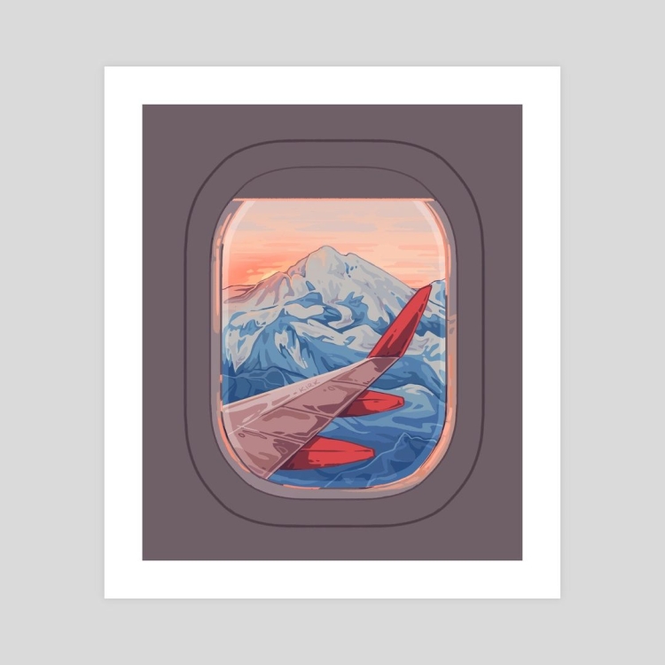 Лес из окна самолета