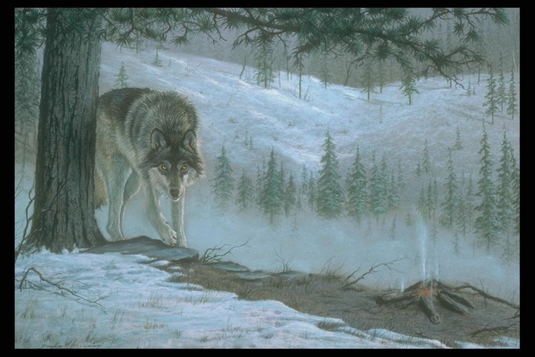 Одинокий волк в лесу