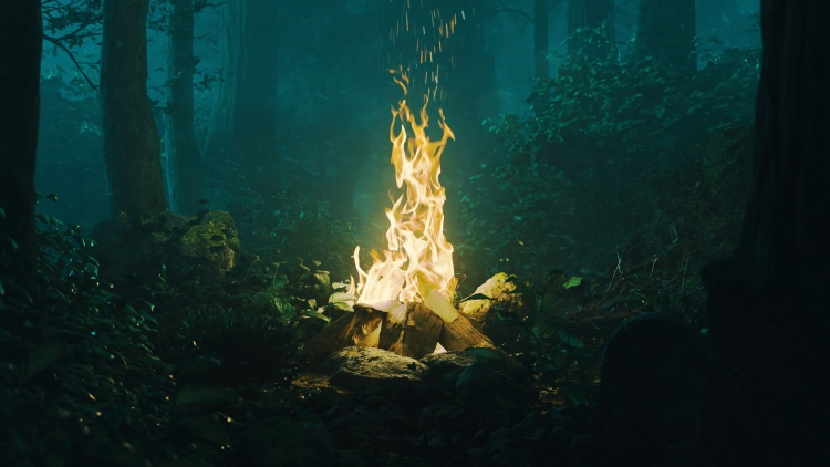 Костер в темном лесу