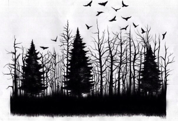 Мрачный черно белый лес