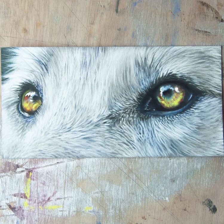 Глаза волка в лесу