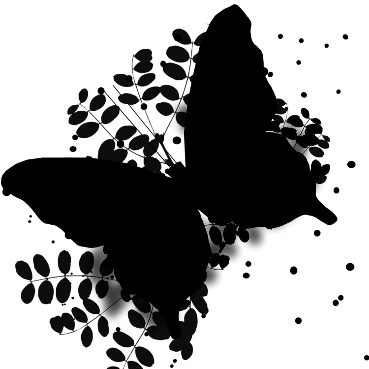 Тень бабочки рисунок