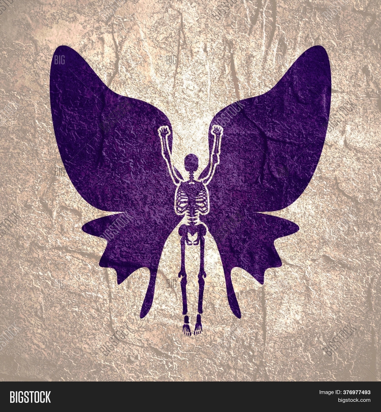 Скелет с крыльями бабочки рисунок