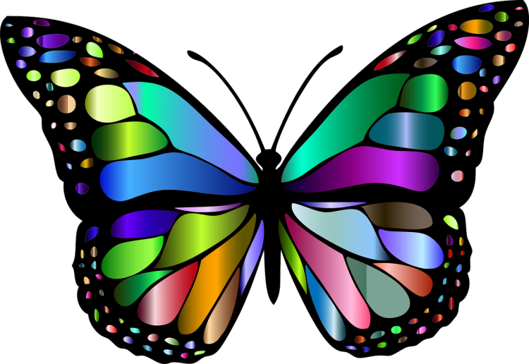 Рисунок яркие бабочки