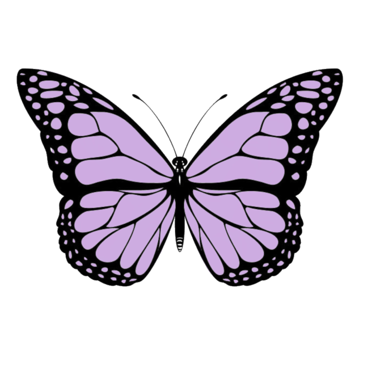 Рисунок эстетичной бабочки