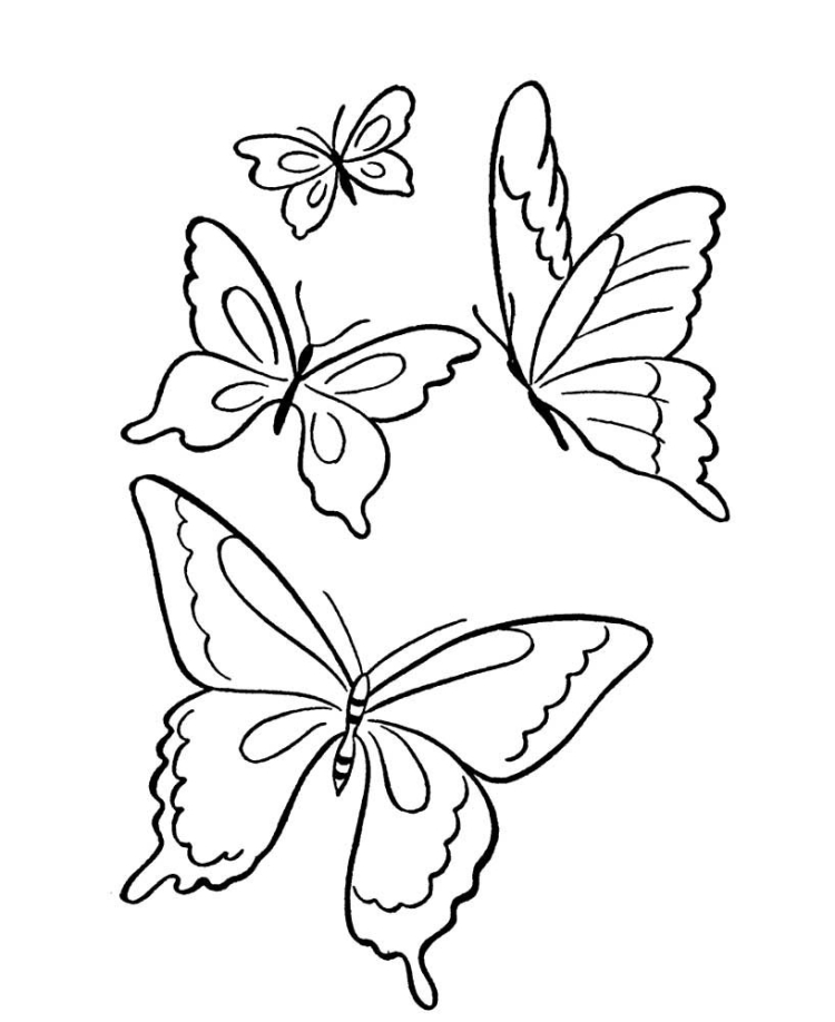 Раскраска раскраска бабочка. Бабочка на цветке