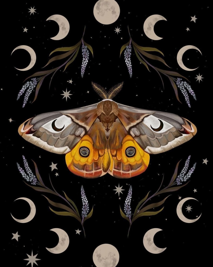 Рисунок ночной бабочки