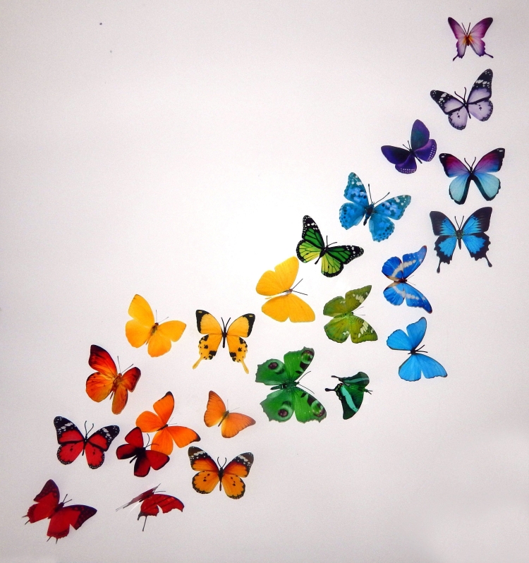 Рисунок букет из бабочек