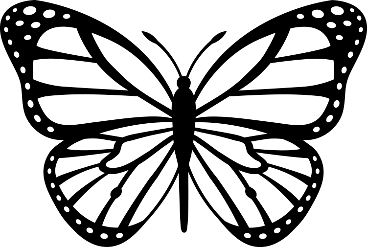 Рисунок бабочки силуэт