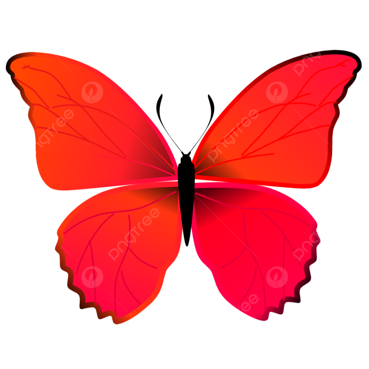 Рисунок бабочки красного цвета