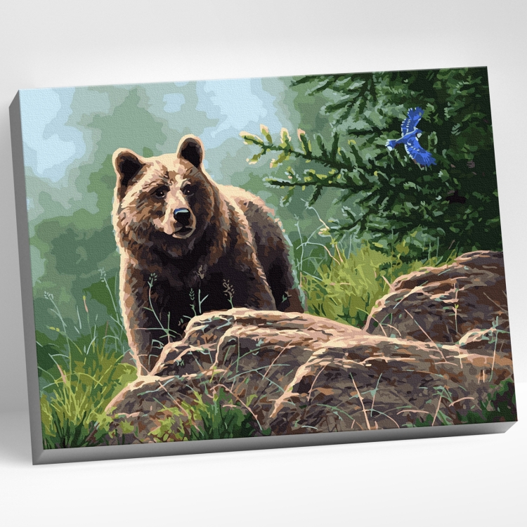 Медведь живущий в лесу