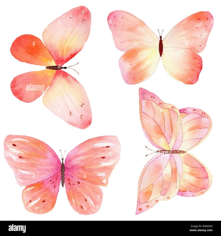Персиковые бабочки рисунок