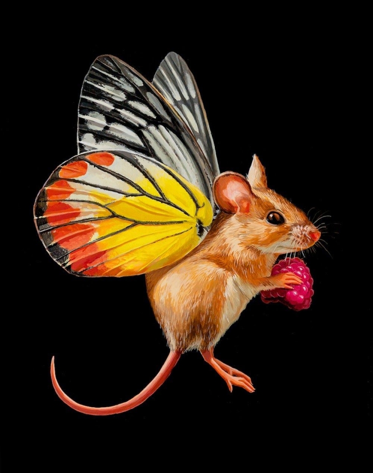 Мышка с крыльями бабочки рисунок