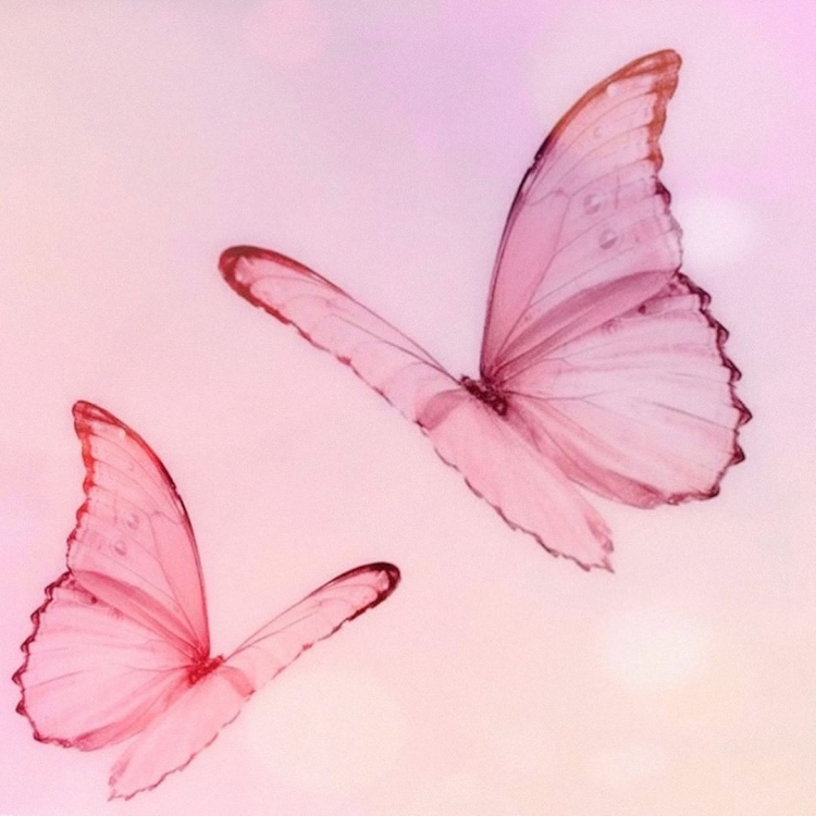 Красивые розовые бабочки рисунок