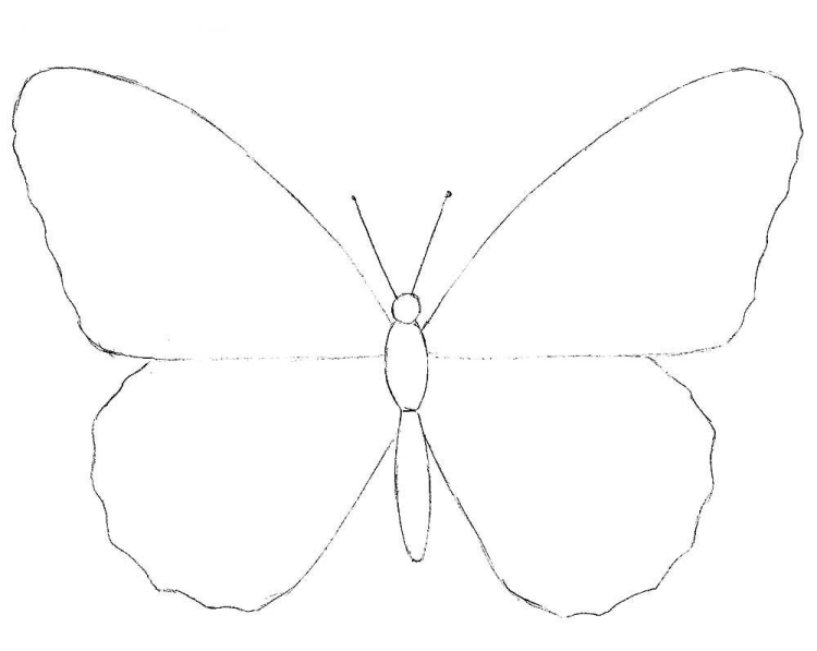 Красивые легкие рисунки бабочки