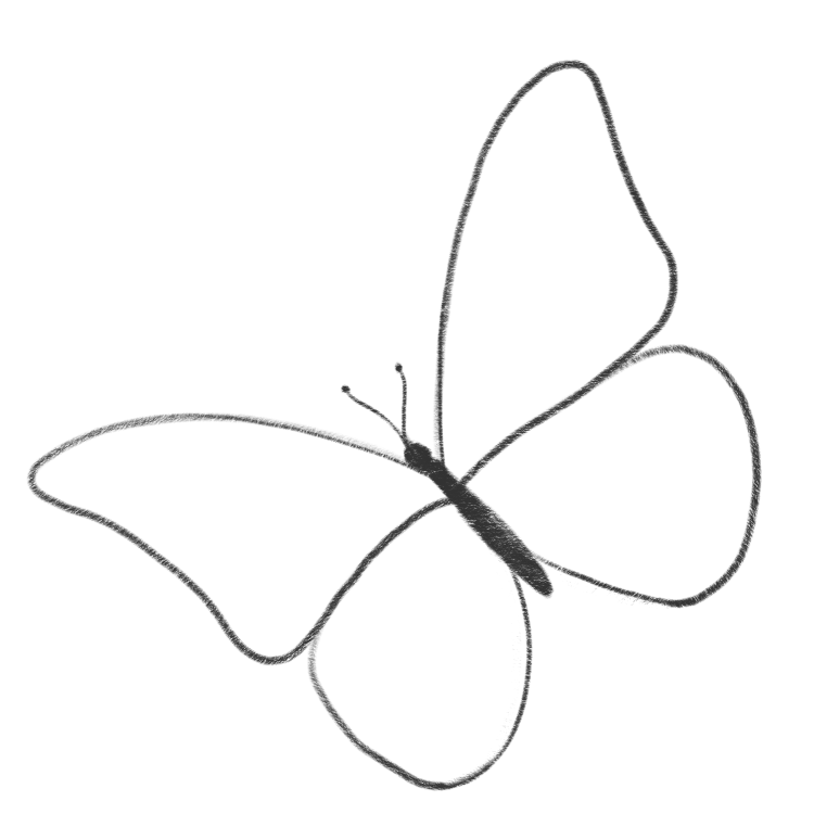 Красивые бабочки для срисовки легкие рисунки
