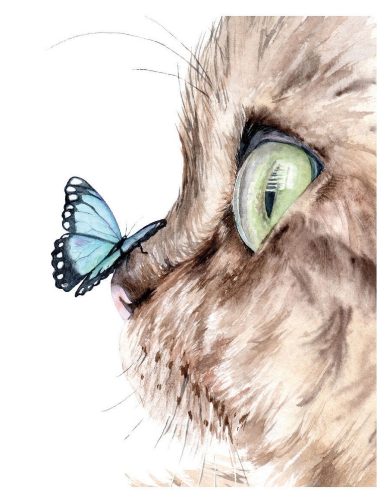 Котик с бабочкой рисунок