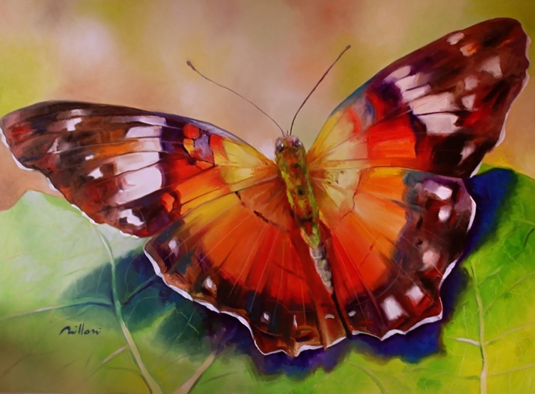 Живопись рисунок бабочки