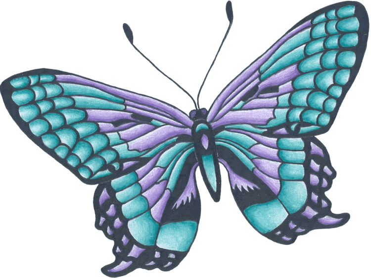 Большая бабочка рисунок