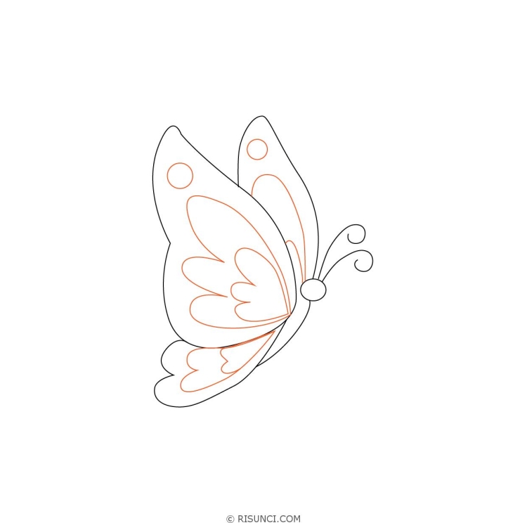 Бабочка сбоку рисунок карандашом