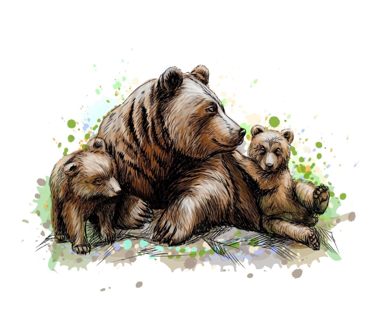 Медведица с медвежатами в лесу