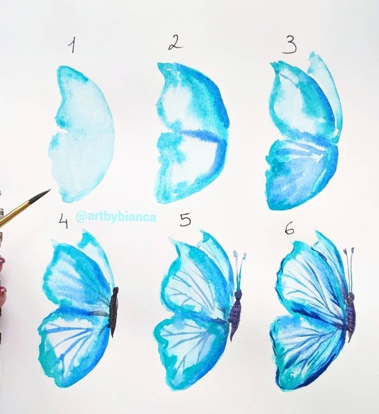 Бабочка рисунок красками поэтапно для начинающих