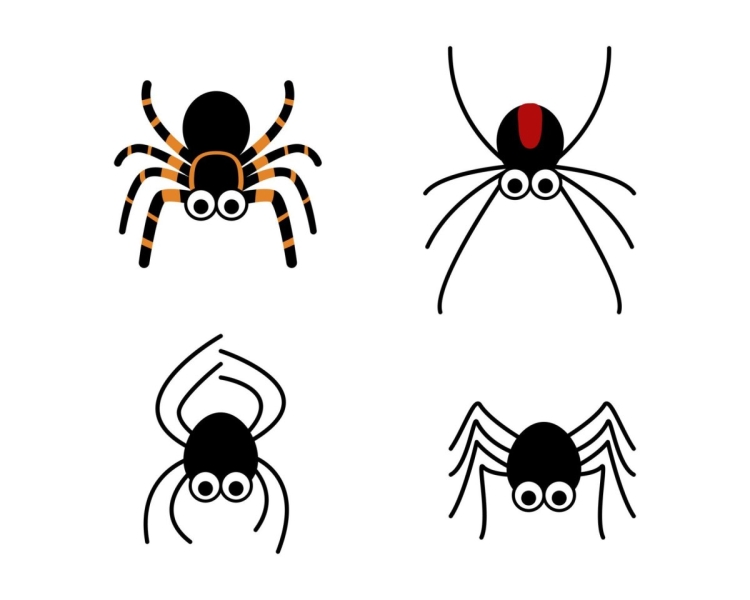 Бабочка и паук рисунок