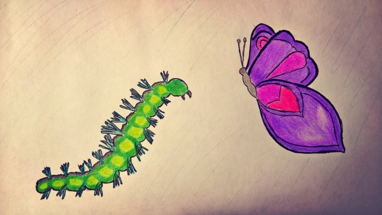Бабочка и гусеница рисунок
