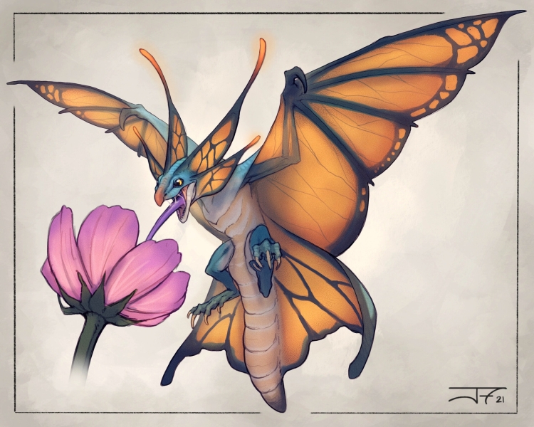 Бабочка дракон рисунок