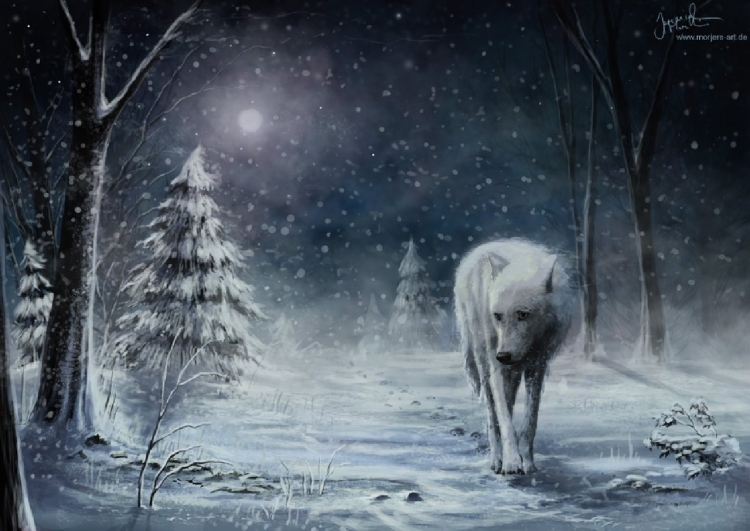 Волки зимой в лесу ночью