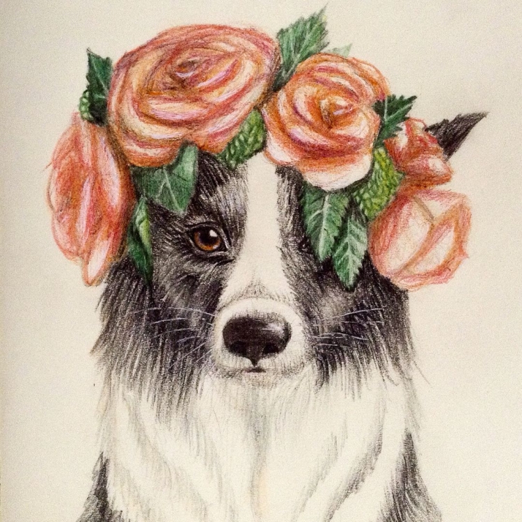 Собака с цветами рисунок